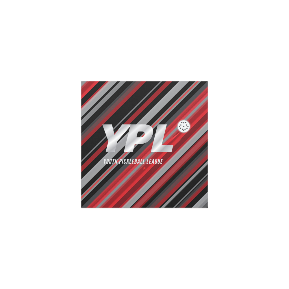 YPL Car Magnet